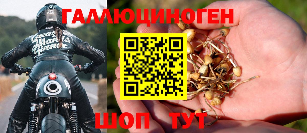 Псилоцибиновые грибы Cubensis Рассказово
